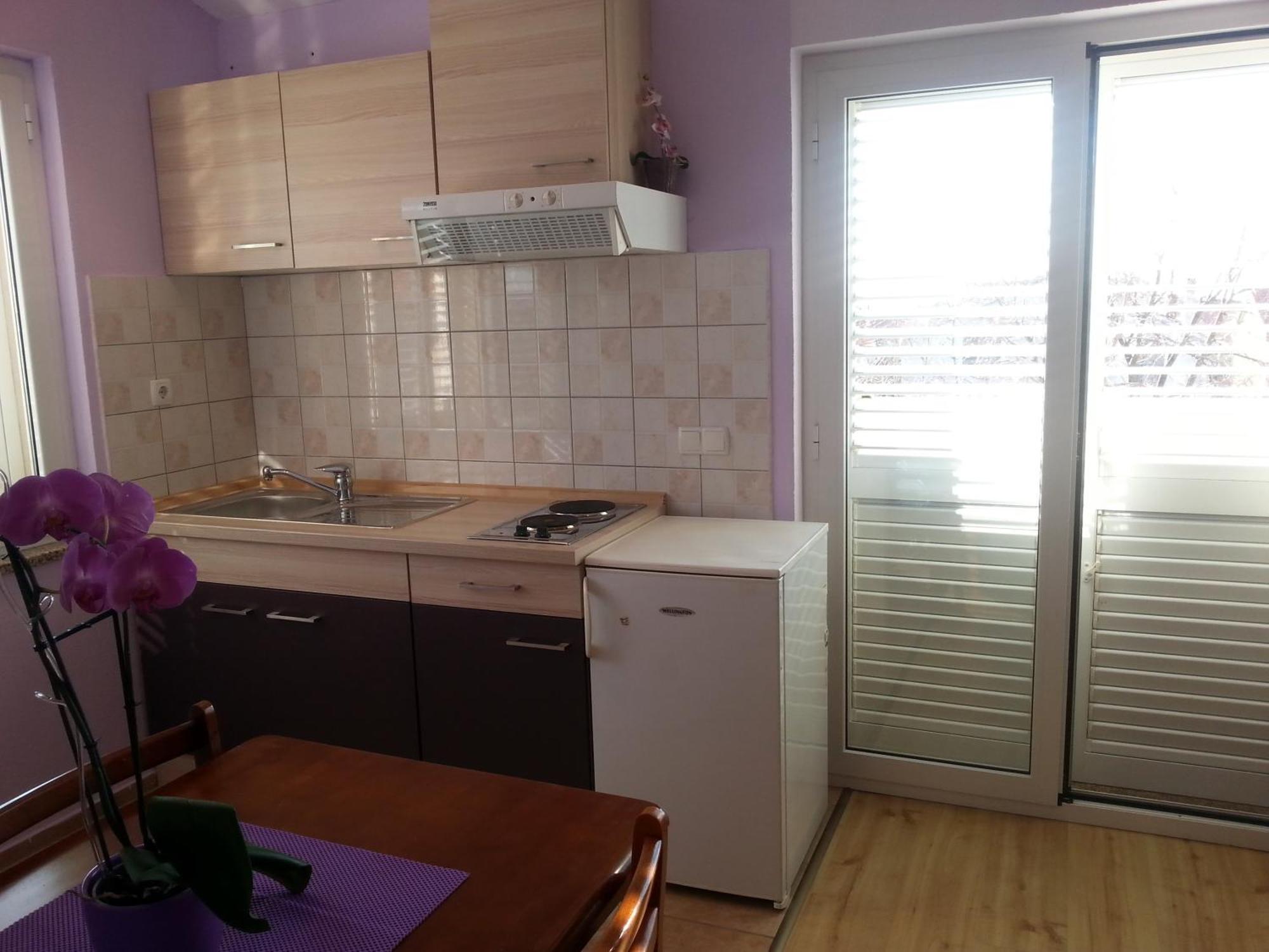Apartment Roncevic