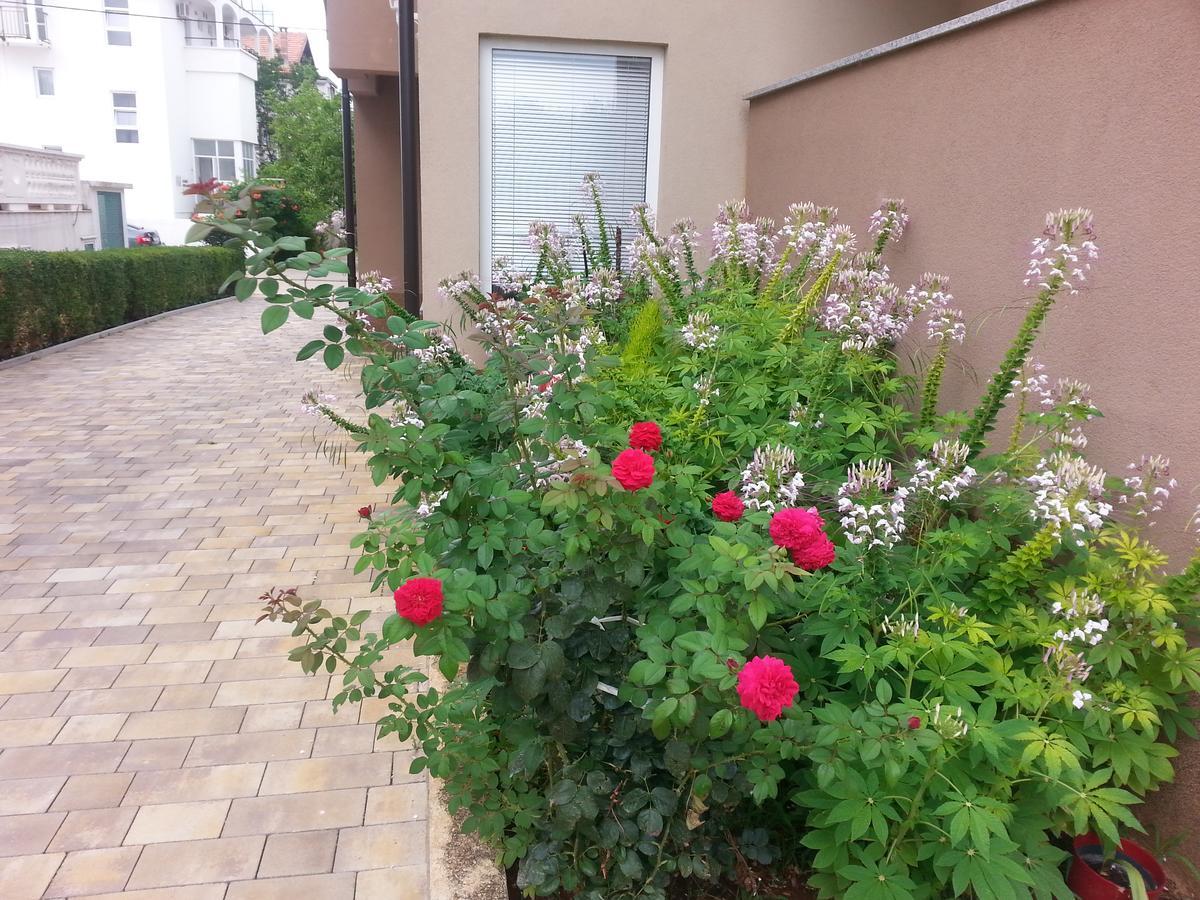 Roncevic Apartment